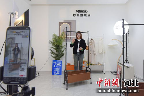 河北廣陽電商平臺深融實體家居，市場活力加快釋放