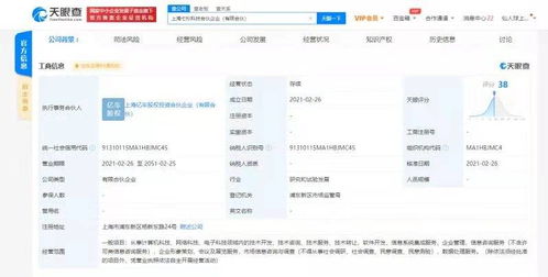 王思聰布局前沿科技領域，控股公司新設子公司聚焦電子與網絡技術