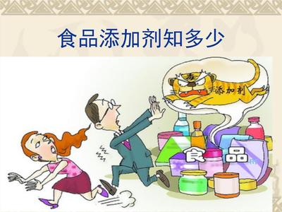 食品添加劑的使用原則